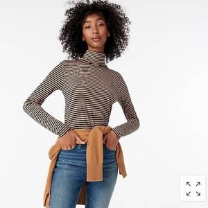 J. Crew Navy and Tan Striped Long Sleeve Top